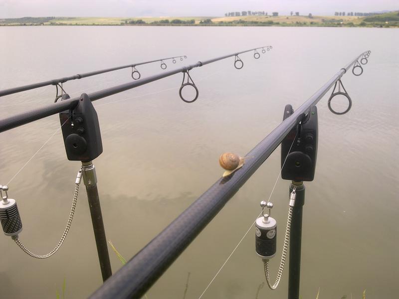 Vladeanu, ultimul la Doripesco